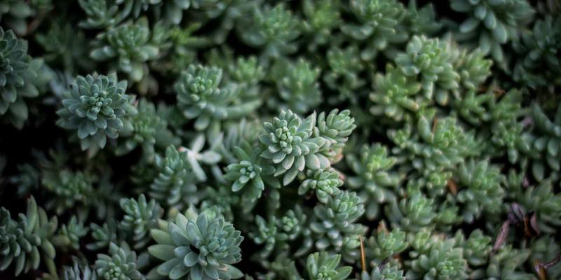 告别噪音困扰！深度解析恒大门业静音门核心技术，打造家居静谧空间