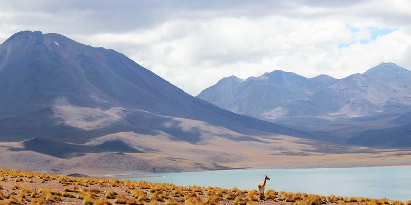 守护家的第一道防线：恒大门业防盗门选购全攻略，安全与美观的完美平衡