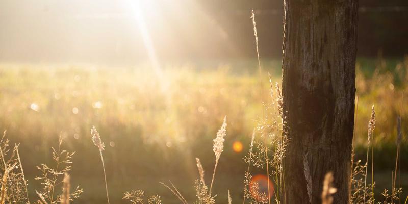 恒大门业内开内倒窗的欧洲标准解析：小开启，大通风，安全与防雨的秘密