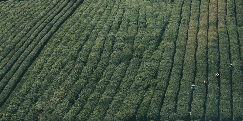 高层住宅如何抵御台风？恒大门业抗风压门窗解决方案全解析
